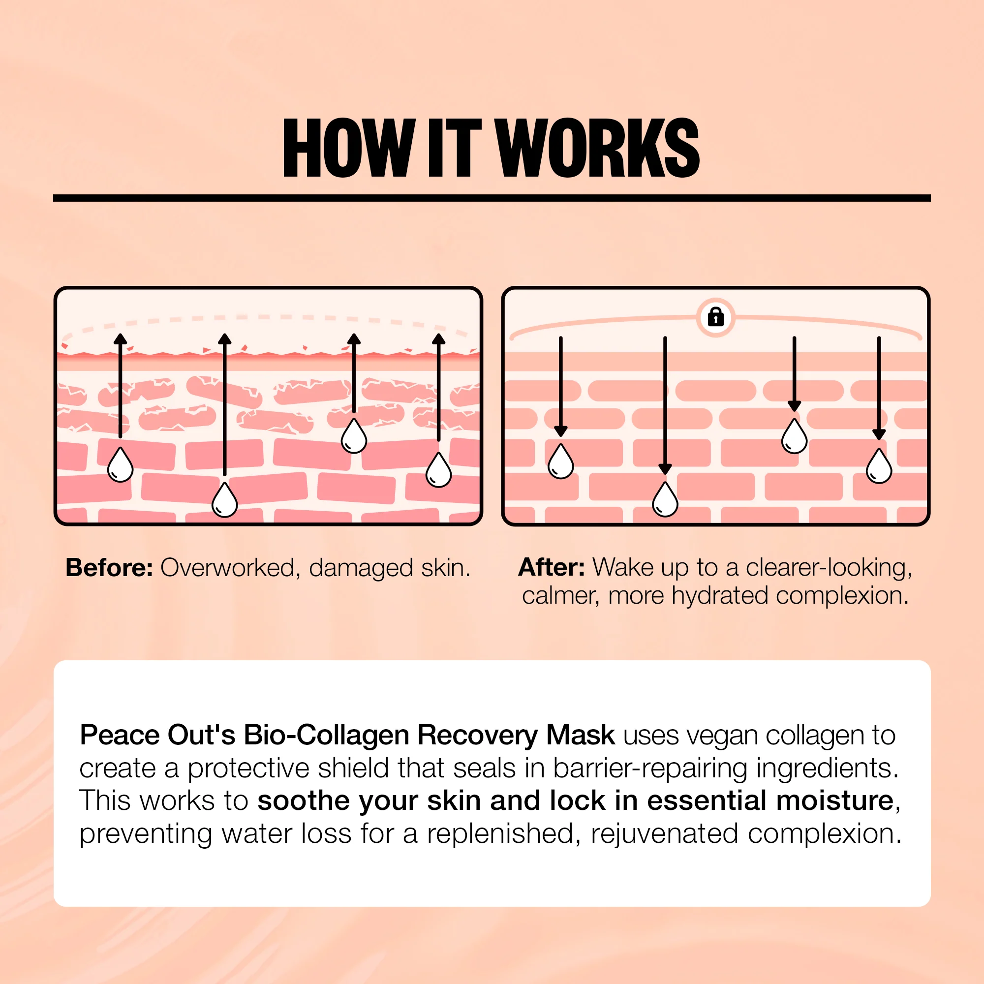 Barrier Revitalizing & Renewing Overnight Recovery Mask - Image 9